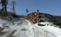 Holzberge beim Anningerhaus