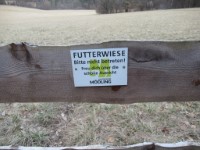 Futterwiese Meiereiwiese