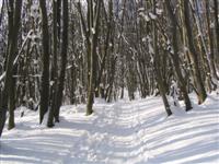 Schnee am Kaisergerndl