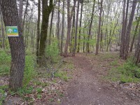 Anninger Trail, Strecke 01