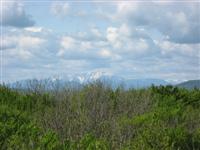 Blick zum Schneeberg