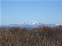 Blick zum Schneeberg