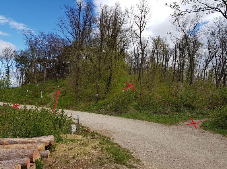 MTB Einfahrt beim Anningerhaus