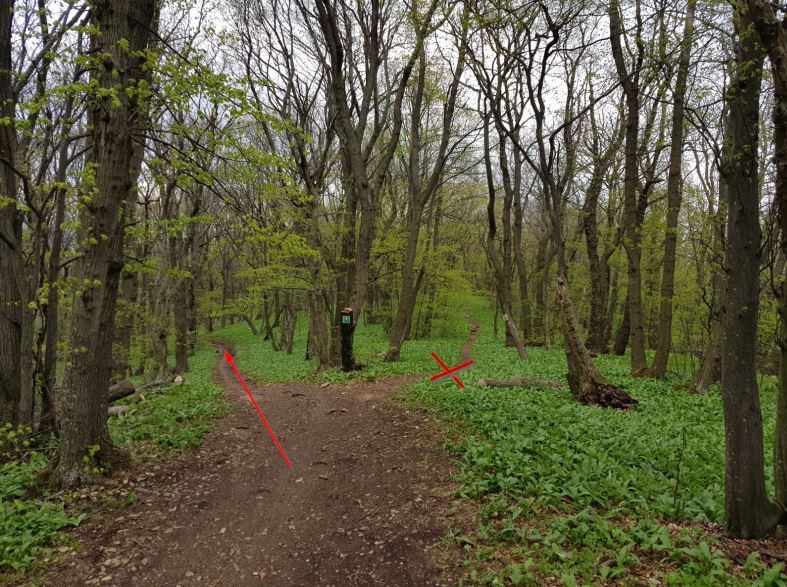 MTB Einfahrt auf die alte Rodelbahn