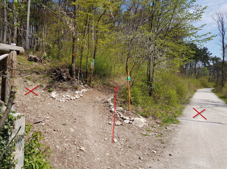 MTB Einfahrt bei der Krausten Linde