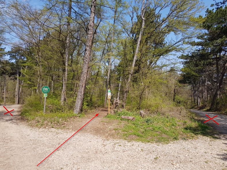 MTB Einfahrt bei Abzweigung Kientalstraße