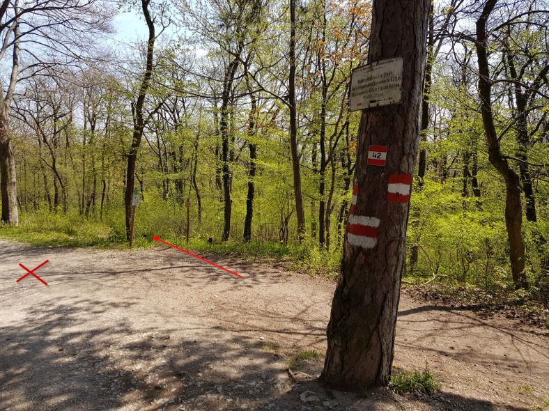 MTB Berührung der Anningerstraße