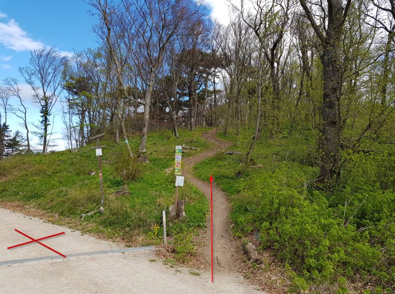 MTB Einfahrt beim Anningerhaus