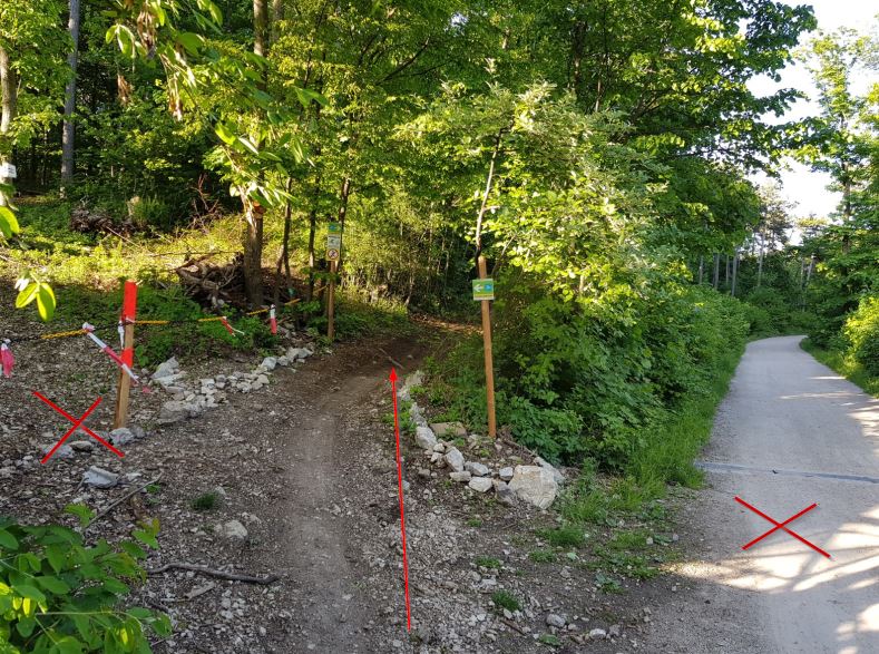 MTB Einfahrt bei der Krausten Linde